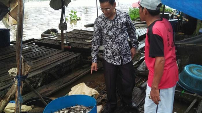 KPLH HSU Pastikan Ikan Mati Mendadak diPaminggir Bukan karena Limbah