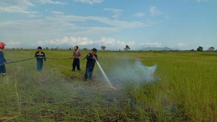 Api Mulai Kerap Muncul di Tanahlaut Kalsel, ini Banyaknya Tempat yang Dilumat dalam Sehari