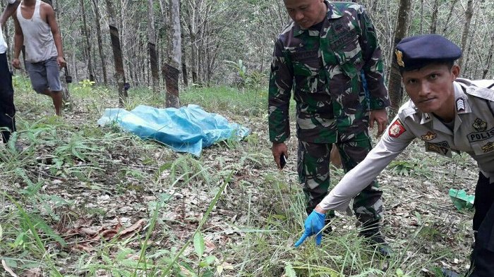 Sehari Setelah Diantar Istri, Penyadap Karet di Muara Uya Ditemukan Meninggal di Kebun