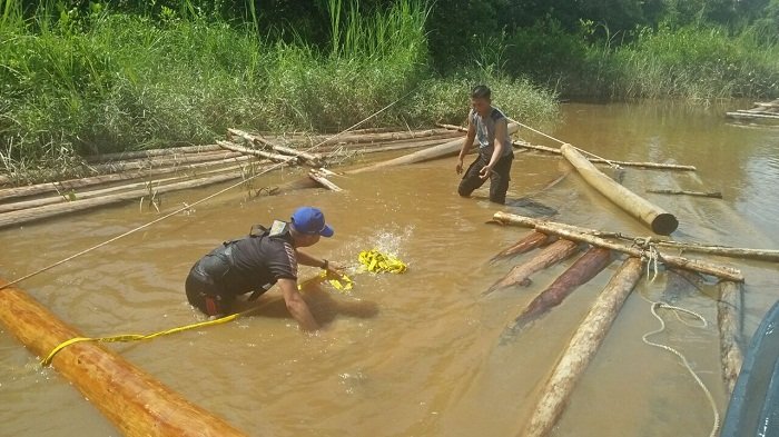 Polair Polda Kalteng Amankan Kayu Hasil Pembalakan Liar di Hutan Lindung TN Sebangau