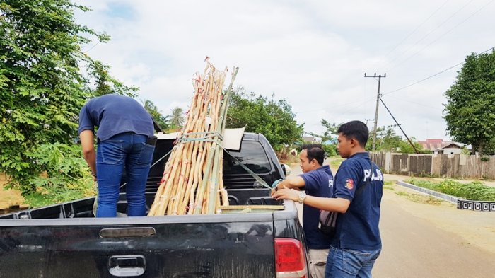 Satu Tersangka Pembakar Umbul Merah Putih Ternyata Tak Tamat Sekolah Dasar