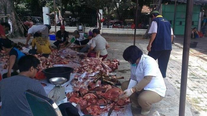 Ketahuilah! Ini 3 Urat Hewan Kurban yang Wajib Putus Saat Disembelih di Hari Raya Idul Adha