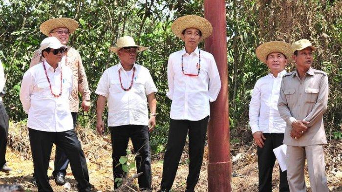 Dukung Pemindahan Ibu Kota, REI Sebut Lokasi Ideal Ibu Kota Tak Jauh Pelabuhan, Begini Alasannya