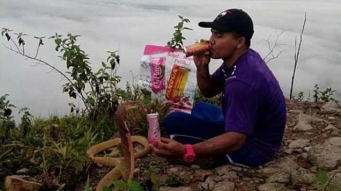 Pria Ini Nikahi Ular King Cobra, Mengaku Serasa Melihat Kekasihnya yang Telah Tiada