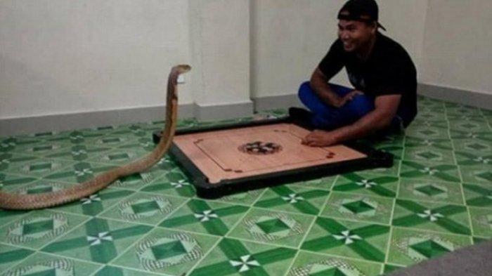 Duluan Pria Ini Akrab dengan King Kobra daripada Panji Petualang dan Garaga, Bahkan Dinikahinya