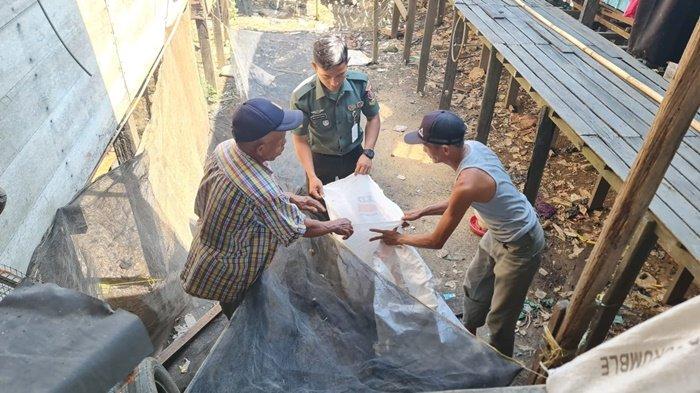 Intip Panen Ratusan Ekor Ayam Kaldu di Desa Karias Dalam Banjang HSU, Ditularkan ke Peternak Lain