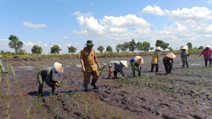 Ditarget 10 Ribu Hektare, Tahun Depan Program Serasi Berlanjut di Tiga Kabupaten Ini