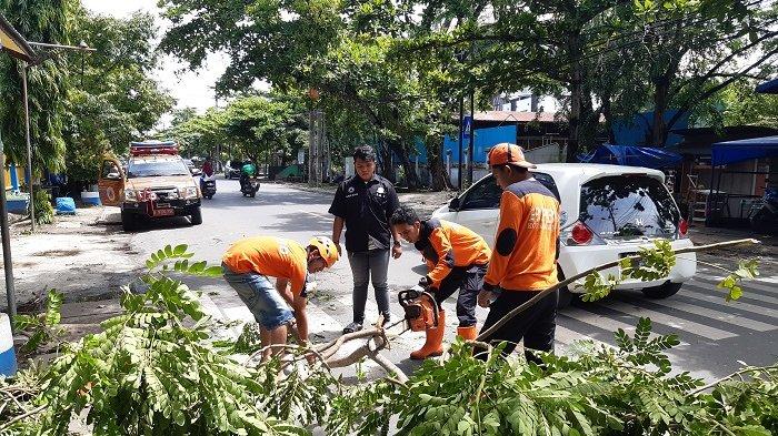 Tim BPBD Kota Banjarmasin Bersihkan Pohon Tumbang Sejak Pukul 03.00 Dini Hari