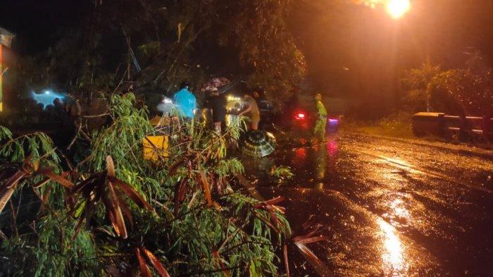 Hujan Deras Disertai Angin Kencang, Pohon di Wilayah Banjarbaru dan Banjar Tumbang