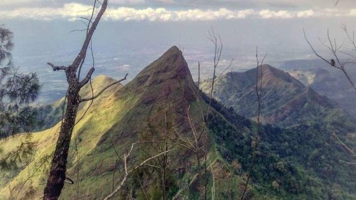 Jenazah Diduga Pendaki Thoriq Rizky Nyangkut di Pohon Jurang Gunung Piramid, 4 Fakta Penemuan