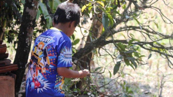 Bocah 11 Tahun Punya Hobi Mangkhawatirkan Gigit dan Cekik Binatang Hingga Mati, Begini 5 Faktanya