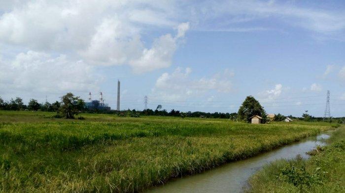 Cegah Kerugian Petani Akibat Bencana Alam, Strategi ini yang Direncanakan Pemkab Tala