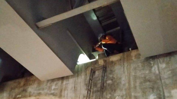 Tak Hanya saat Bencana, Sukarelawan BPBD Kota Banjarmasin Pun Siap Turun Selamatkan Satwa