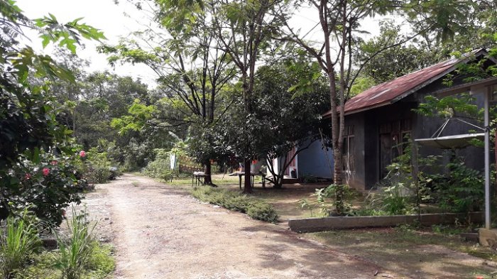 Penghuni Kampung Kusta Dikucilkan dan Dibuli di Sekolah, Saniah Tak Mau Melanjutkan ke SMP