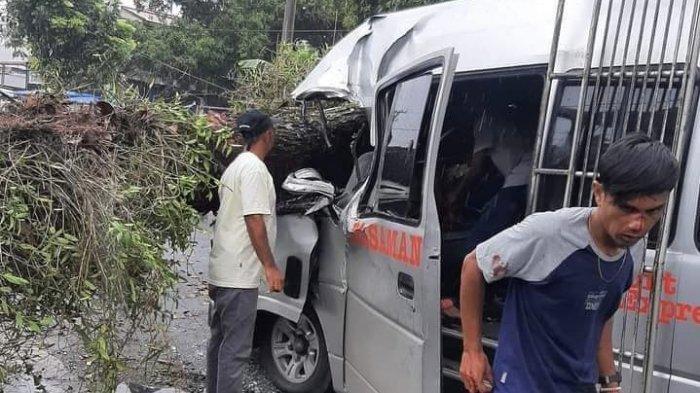 Tertimpa Pohon Tumbang, Bus Ditumpangi Satu Keluarga Penyok, Bocah Berusia Dua Tahun Tewas