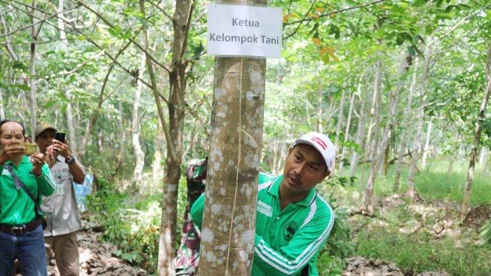 Kiprah Arsyad, Ketua Koperasi Sungai Kihung Lestari, Berbuah Manis