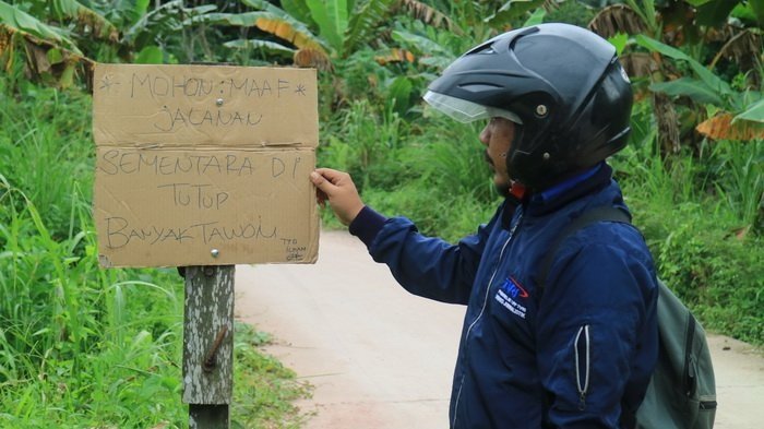 Ngeri! Lebah Ganas yang Keluar dari Pemakaman Serang Kawasan Perumahan Samarinda, 1 Meninggal