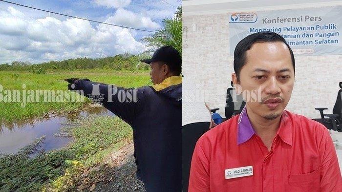 Advokasi Keringanan Utang Modal, Ombudsman Kalsel Heran Belum Ada Petani Datang untuk Didata