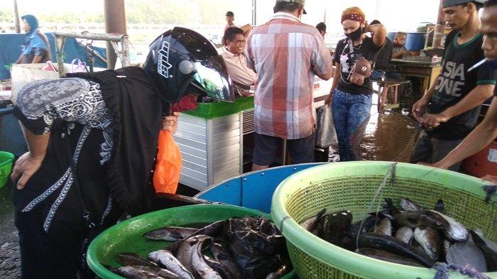 Paling Banyak Dicari di TPI RK Ilir Banjarmasin, Ikan Haruan Jadi  Primadona
