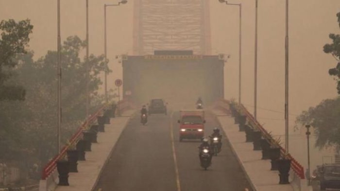 Jokowi Minta Bappenas Lakukan Kajian Daerah yang Cocok, Palangkaraya Belum Tentu Jadi Ibu Kota