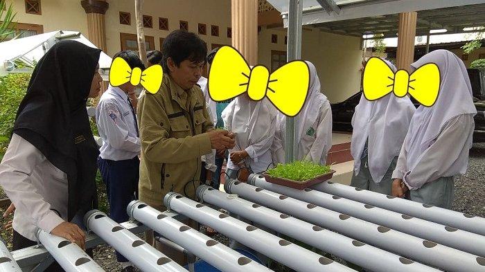 Pasca Rehabilitasi, Mantan Pengguna Narkoba Diajak Belajar Cara Bertanam Tanaman Hidroponik