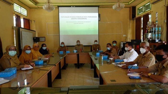 Peremajaan Sawit di Tanahlaut Terus Berlanjut, Tahun ini Ditarget Seribu Hektare