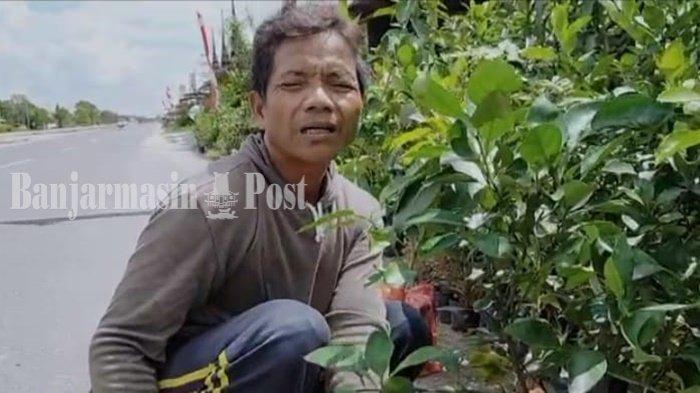 Pusat Penjualan Tanaman Hias Lokasinya Dekat Hutan Universitas Palangkaraya