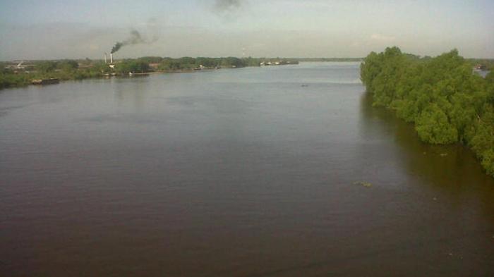 Kualitas Air Sungai Barito Rendah, Petani Keramba Batola Diminta Tak Tebar Benih Ikan