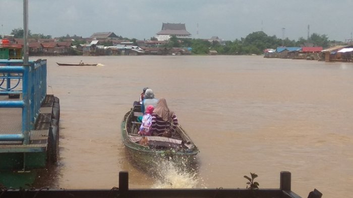 Hiii, Ribuan Ikan di Karamba Mati Tanpa Sebab, Pemilik Percaya Jadi Tumbal Sungai Kahayan