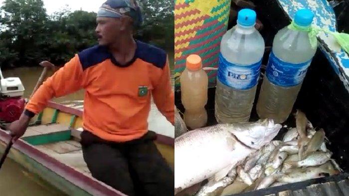 Pemicu Sungai Satui Tercemar Disebut DLH Tanbu, dari  Eks Tambang yang Tidak Direklamasi