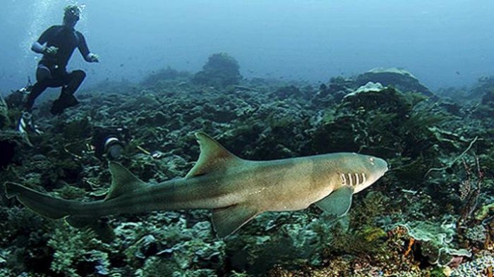 Dihari Libur, Saatnya Menikmati