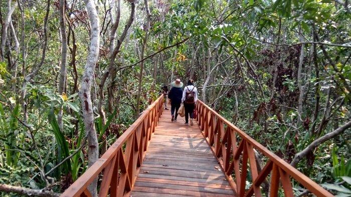Selain Bekantan, di Pulau Bakut Bisa Temui Berbagai Binatang Liar Asli Hutan Mangrove