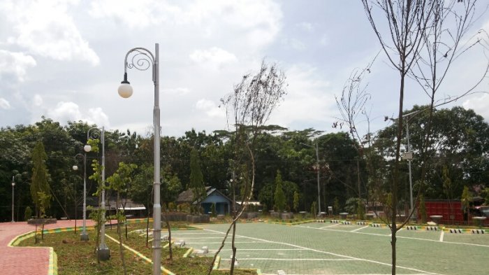 Banyak Tanaman Mati, Taman RTH Blok A Desa Manunggal Ini Dikeluhkan