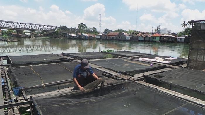 Petaka di Balik Indahnya Air Sungai Martapura