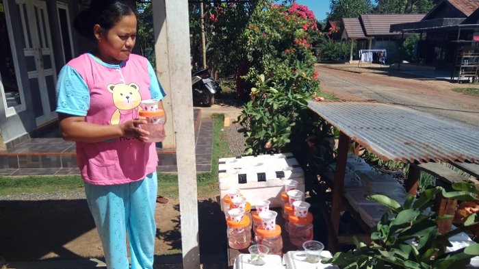 Heny Tanam Sayuran Hidroponik Pakai Toples Bekas Sosis, Hasilnya Tak Disangka