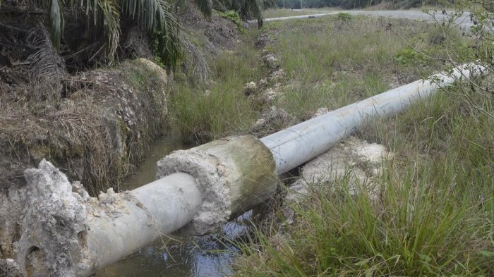 Perusahaan Sawit Malaysia Abaikan Panggilan Pemkab Bulungan Kaltara Tangani Jaringan Listrik