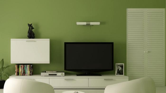 Fakta Mengejutkan dari Aktivitas Menonton Televisi