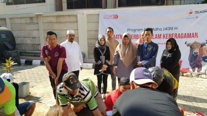 Telkomsel Sembelih Hewan Kurban Sebanyak 740 Ekor