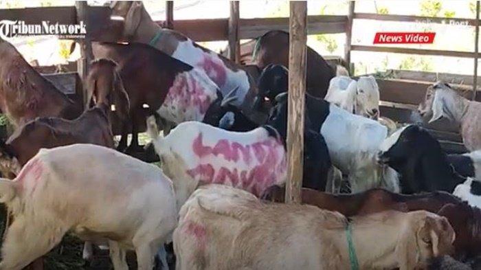 Aneka Menu Khas Daging Sapi dan Kambing, Cocok Dicoba Menyambut Idul Adha 2022