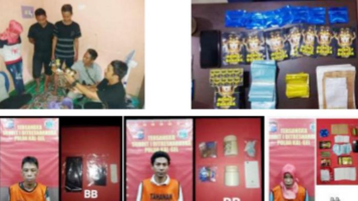 Simpan dan Edarkan Tembakau Gorilla serta Biji Ganja, Dua Pria dan Seorang Wanita Huni Sel Polda