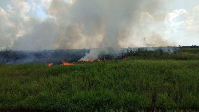 Titik Api Mulai Muncul di Sebagian Wilayah HSS, Warga Mulai Resah