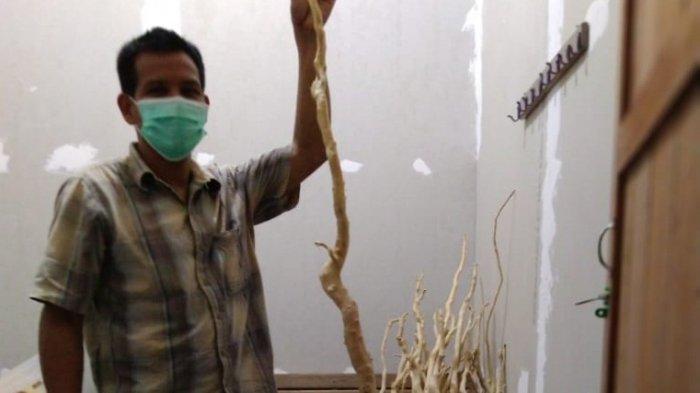 Selama Pandemi, Permintaan Produk Gula Aren Jahe dari Desa Teratau Tabalong Meningkat