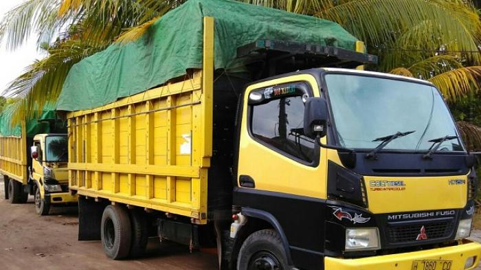 Tiga Truk Kayu Ulin Diduga Ilegal Diamankan Polisi Palangkaraya