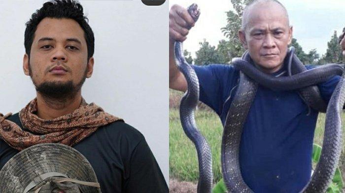 Detik-detik King Kobra Santap Kobra Ditangkap Abah Alex, Reaksi Panji Petualang