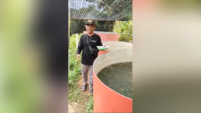 Usaha KMP di Kalsel Mulai Berdetak, Koperasi Kintapura Tanahlaut Jual Lele 250 Kg