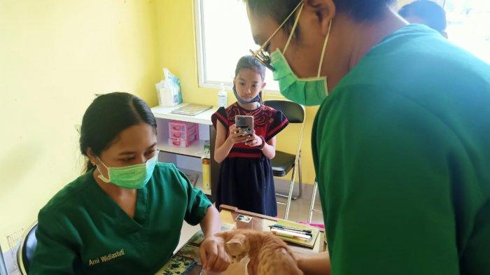 Pemilik Hewan Antusias Datangi Disnak Tala, Segini yang Telah Divaksin Rabies