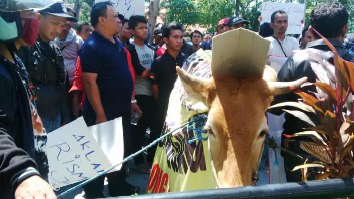 Warga Daftarkan Sapi ke KPU