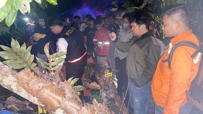 Listrik pada Pohon Tumbang Tewaskan Warga Kabupaten Tabalong Kalsel, Tubuh Korban Sempat Berasap