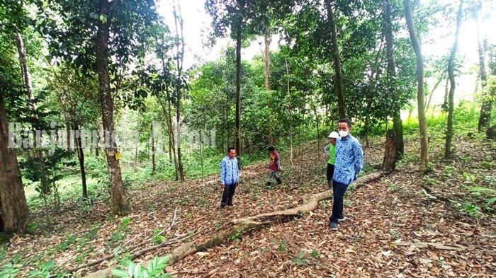 Wisata Kalsel - Kebun Raya di Kabupaten Balangan Bermula dari Lahan Karet Warga