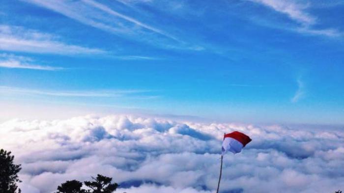 Cerita Jenggo Mendaki Gunung Tertinggi di Kalimantan Selatan